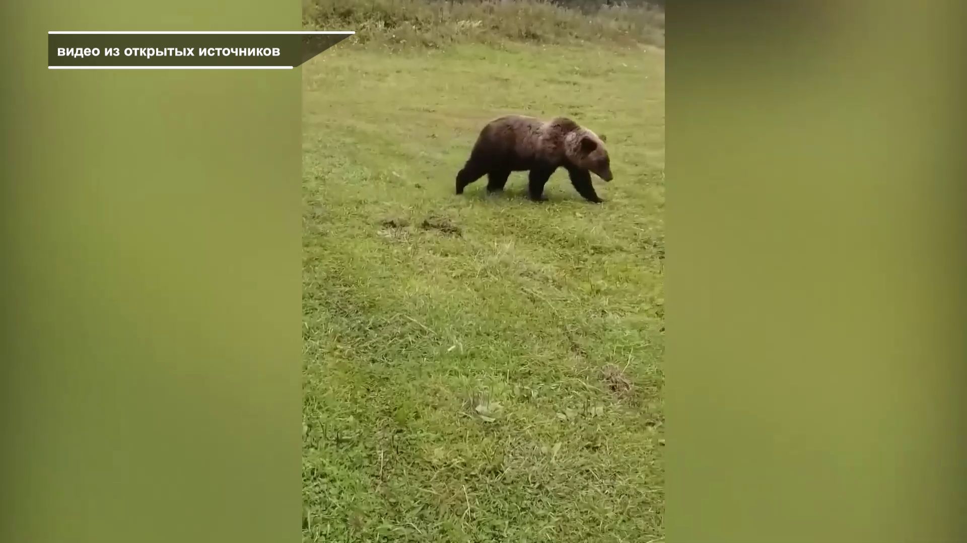 Ищу Куни Красноярск Ищу Куни Красноярск