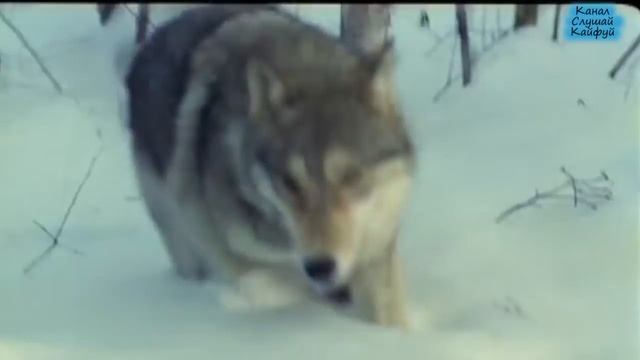 Про Классный Секс Про Классный Секс