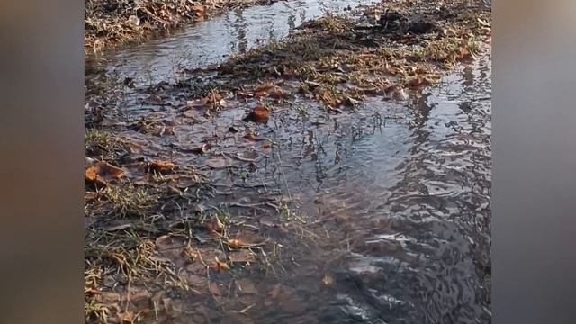 Песни Кати Порно Песни Кати Порно